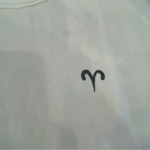 FP Movement byFree People Inspire BF Aries Graphic T-Shirt in White Red and Pink - Picture 13 of 15